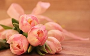 結婚祝い 何に 使う