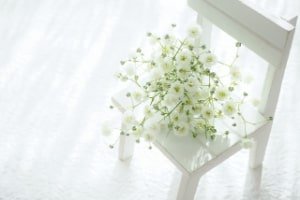 カスミソウのイメージ