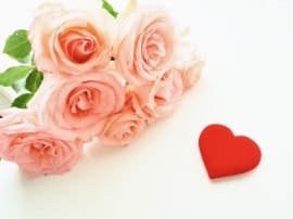 結婚祝いの好きなもの