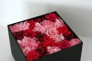 結婚 祝い 花 言葉