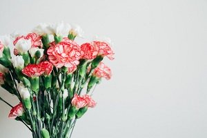 結婚 祝い 花 言葉